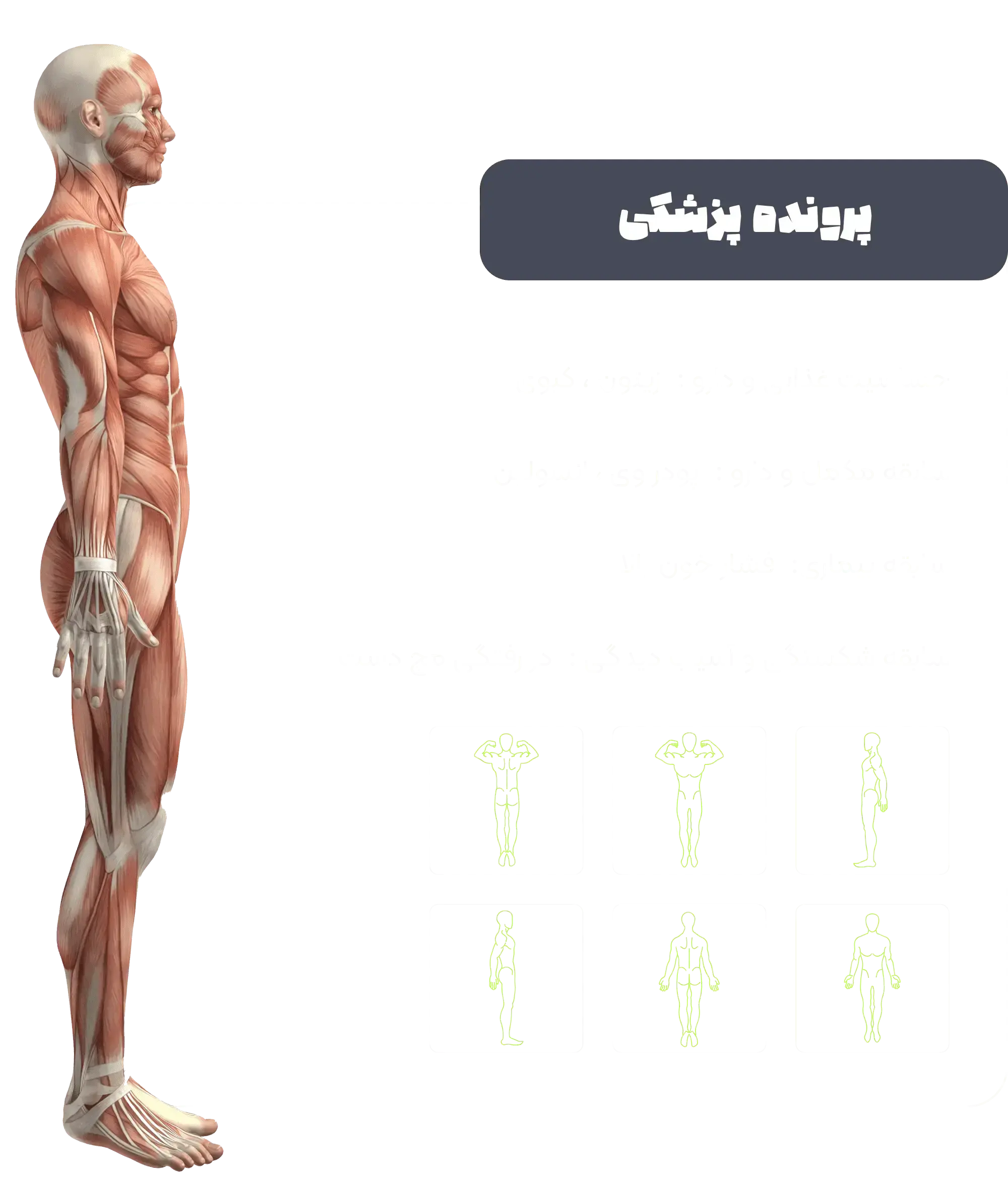 medical record icon